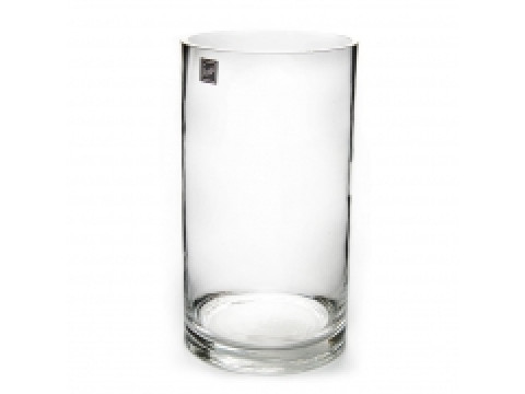 Glass Vase